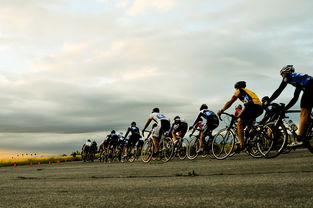 leyu乐鱼在线登录入口-欧洲环法：丹麦新星崭露头角，引领潮流！，北欧 丹麦